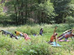 Wald und Naturyoga